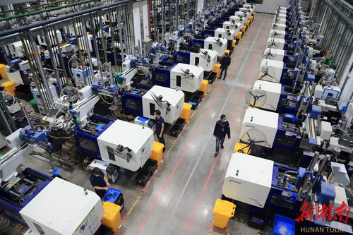 高質(zhì)量發(fā)展調(diào)研行丨 黃金水道 如何產(chǎn)生 黃金效益 岳陽(yáng)航運(yùn)業(yè)高質(zhì)量發(fā)展調(diào)研