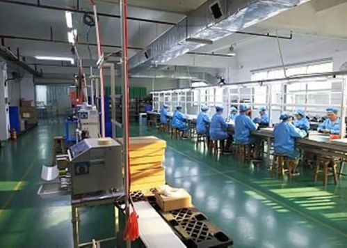 舒城 筑巢引鳳反哺鄉(xiāng)里,做活創(chuàng)業(yè)就業(yè)文章