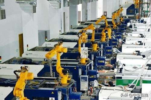 六安 跑出老區振興 加速度