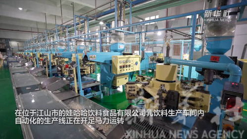 新華全媒 丨奮斗正當(dāng)時(shí) 浙江企業(yè)新春開工忙