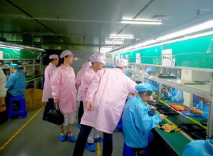 王純前往星星精密科技 深圳 公司走訪調研